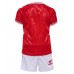 Maillot de foot Danemark Domicile vêtements enfant Europe 2024 Manches Courtes (+ pantalon court)